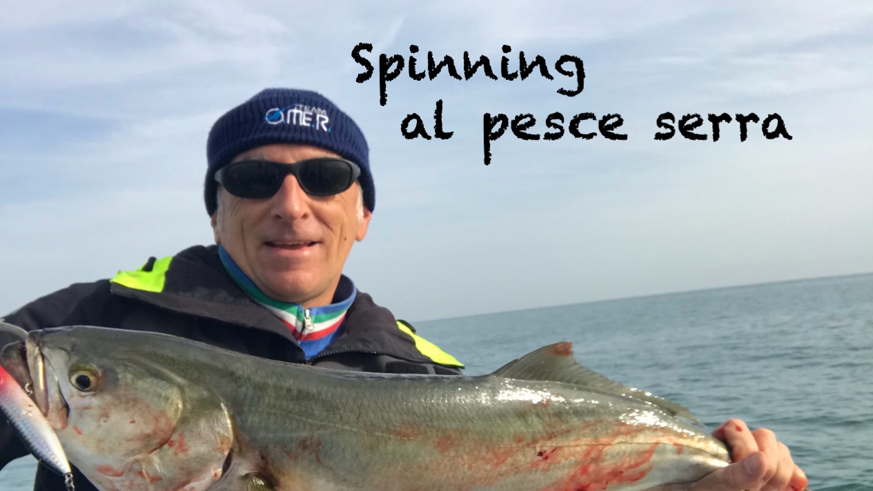 Spinning al pesce serra
