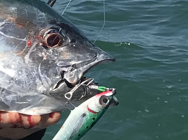 Crimpare correttamente un terminale