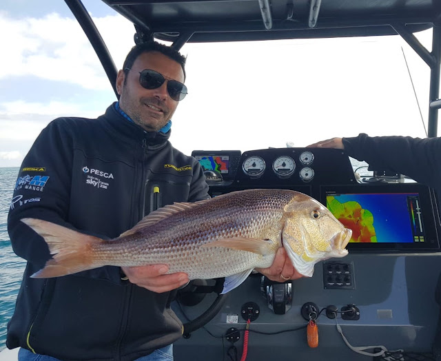 Scegliere l’ecoscandaglio appropriato