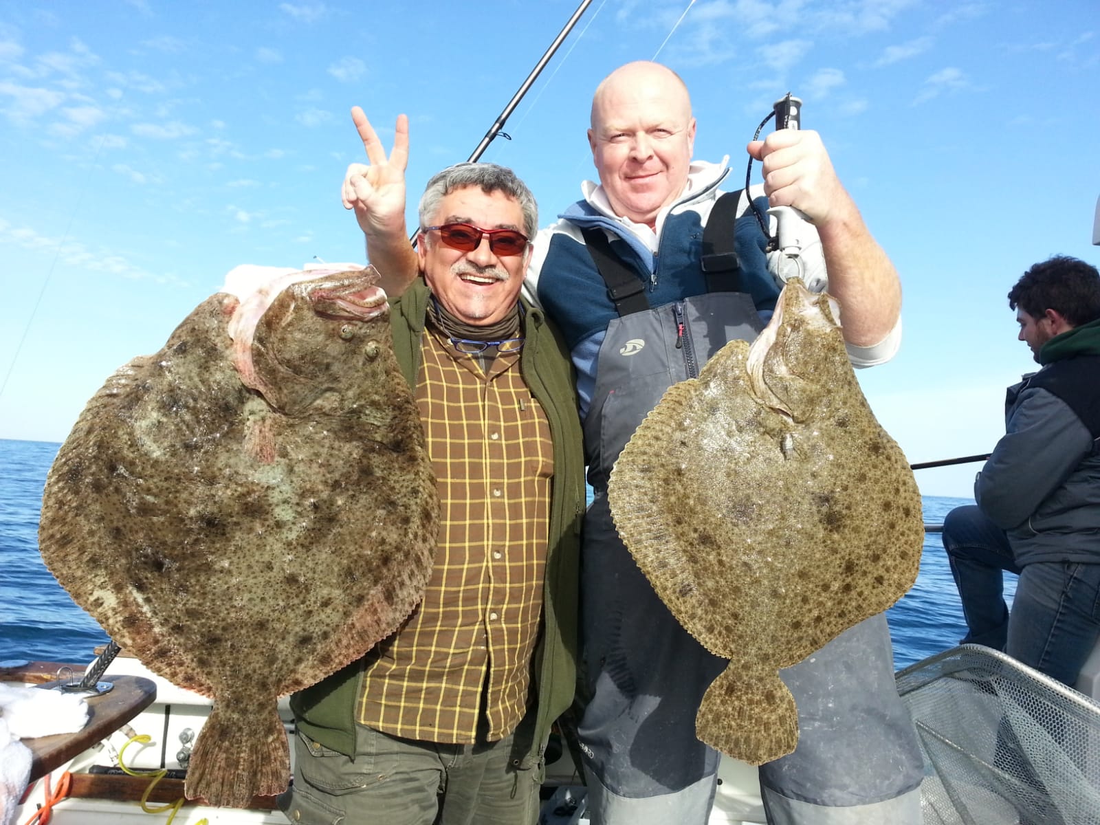Bolentino nel mare di Romagna