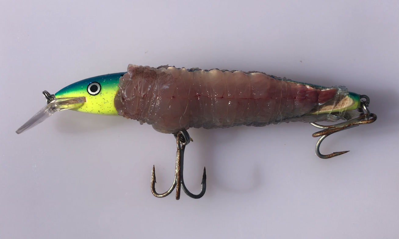 Special lure traina al serra