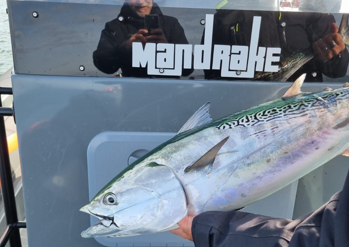 Una giornata a bordo del Mandrake